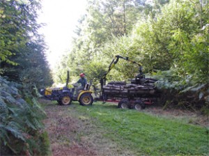 our compact tractor and forwarder with a full load of timber
